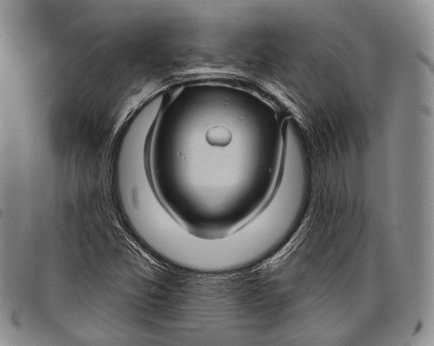 X0000097991357200804141131