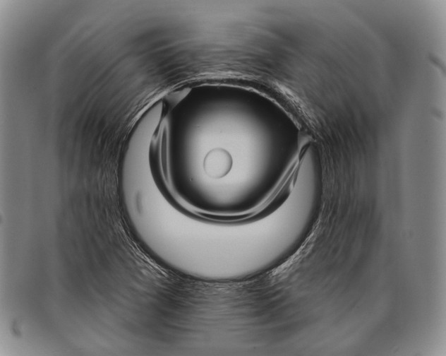 X0000097991361200804141131