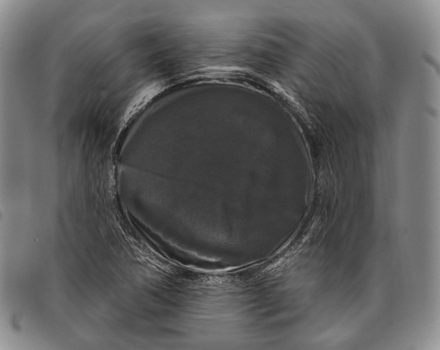 X0000097991362200804141131