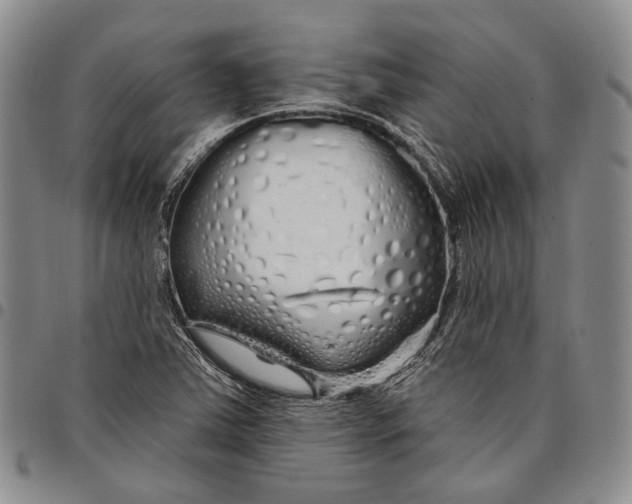 X0000097991363200804141131