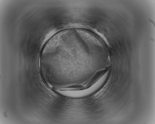 X0000097991365200804141131