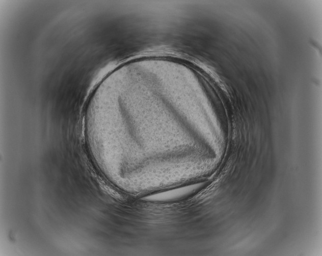 X0000097991366200804141131
