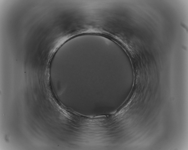X0000097991367200804141131