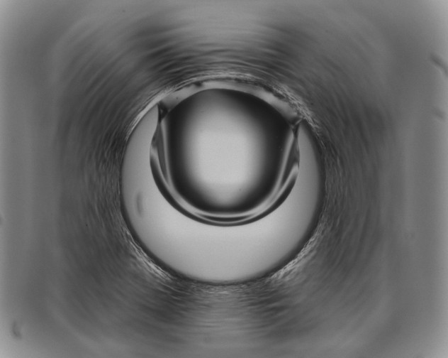 X0000097991369200804141131