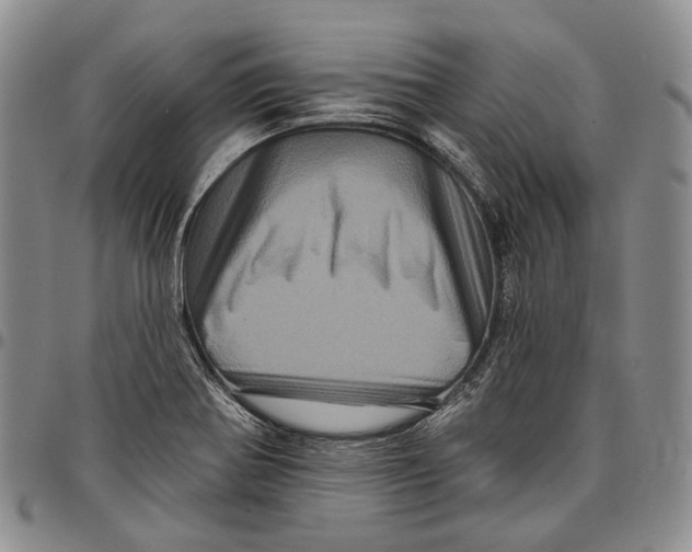 X0000097991370200804141131