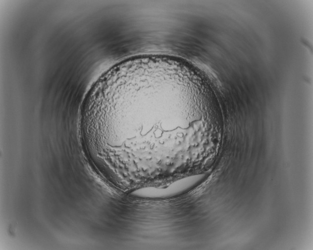 X0000097991374200804141131