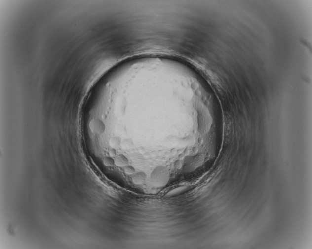 X0000097991375200804141131