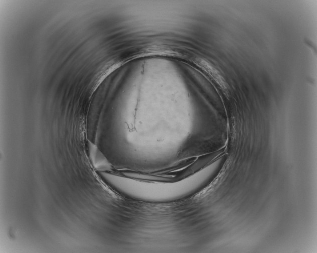 X0000097991377200804141131