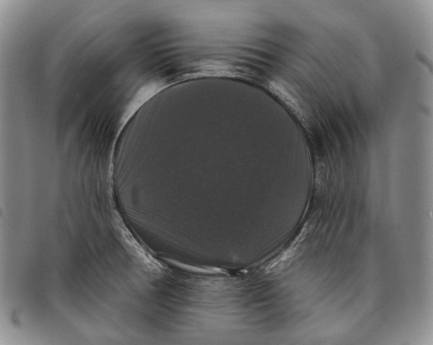 X0000097991378200804141131