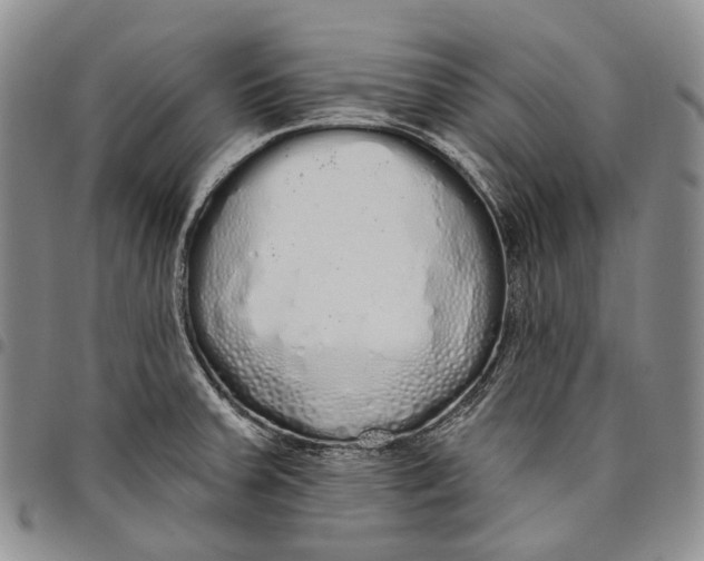 X0000097991379200804141131