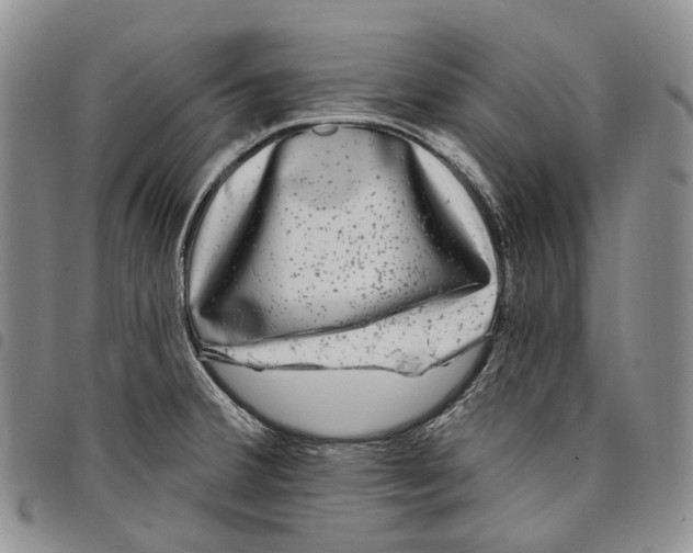 X0000097991380200804141131