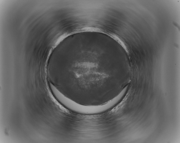 X0000097991381200804141131