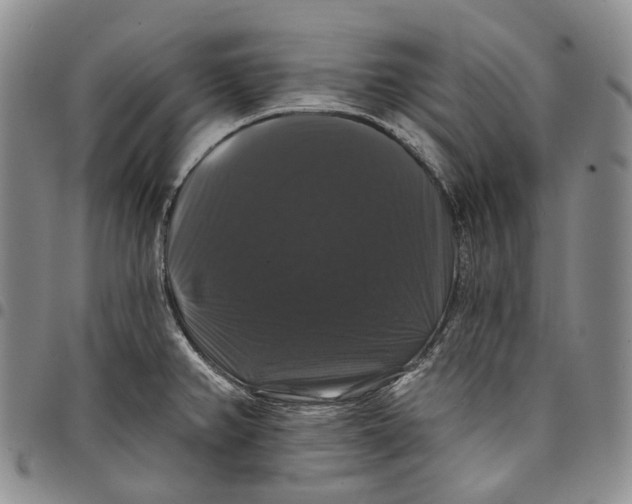 X0000097991382200804141131