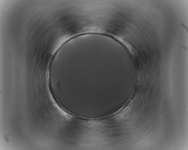 X0000097991383200804141131
