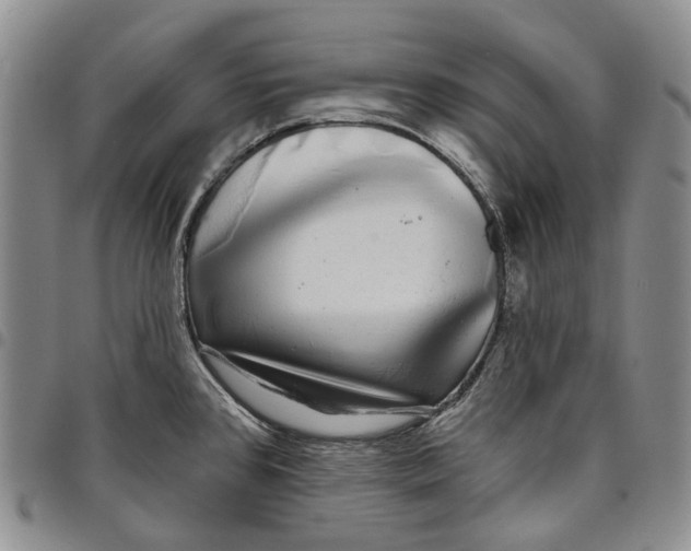 X0000097991384200804141131