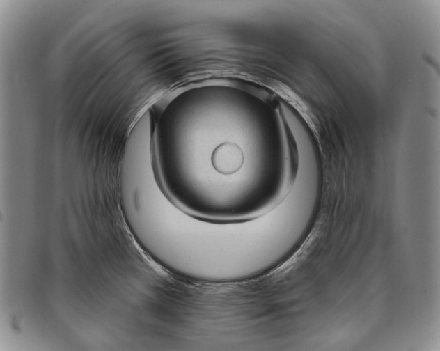 X0000097991385200804141131