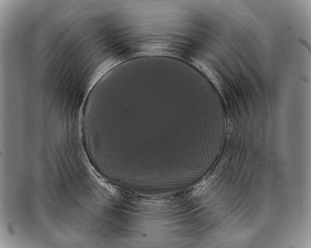 X0000097991386200804141131