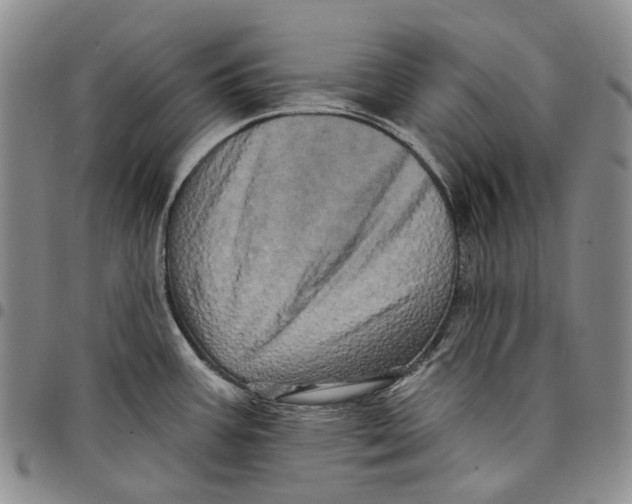 X0000097991387200804141131
