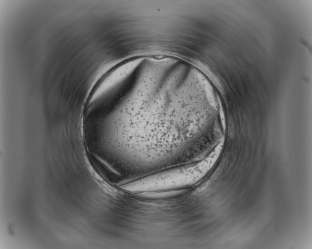 X0000097991388200804141131