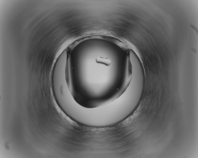 X0000097991389200804141131