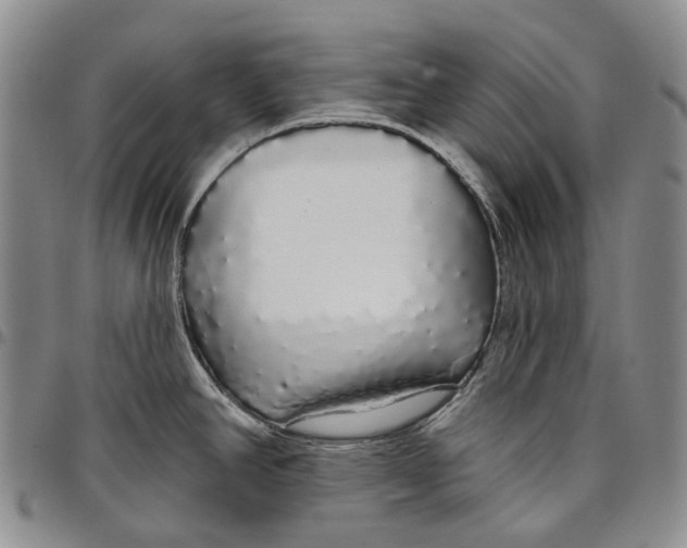 X0000097991390200804141131
