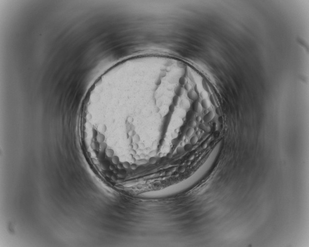 X0000097991391200804141131