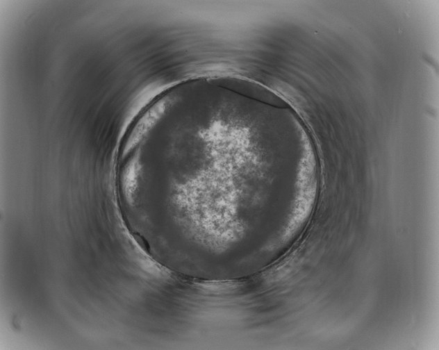 X0000097991392200804141131