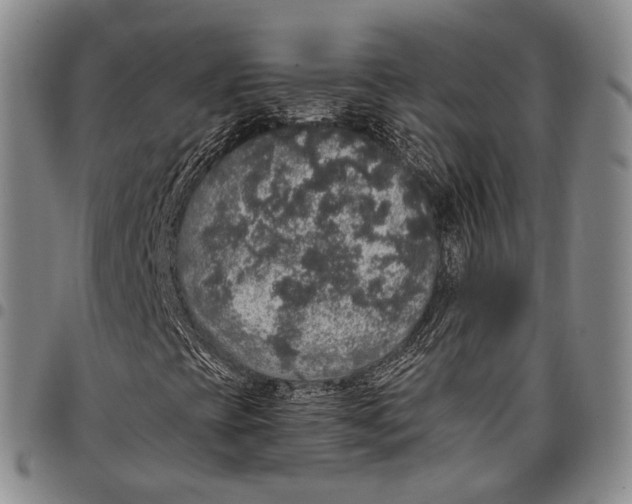 X0000097991393200804141130