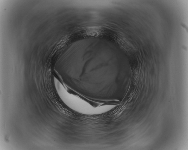 X0000097991394200804141130