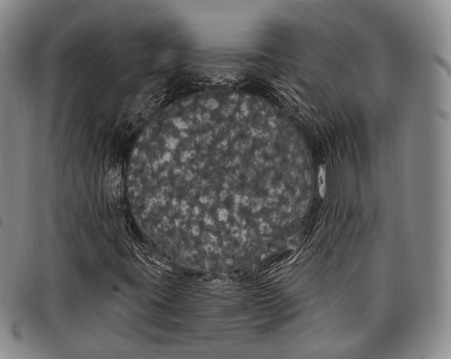 X0000097991395200804141130