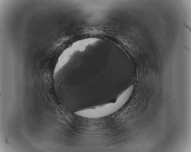 X0000097991398200804141130