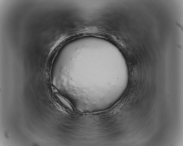 X0000097991400200804141130
