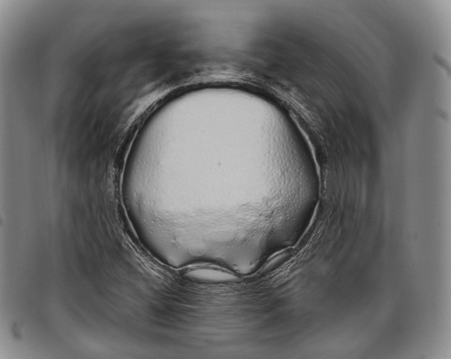 X0000097991404200804141130