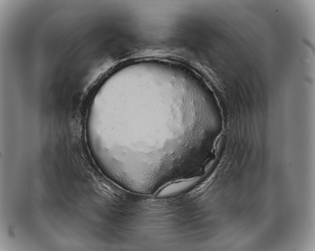 X0000097991406200804141130