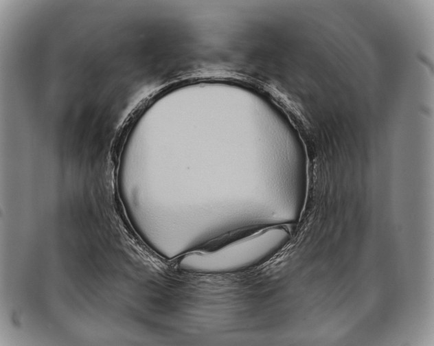X0000097991408200804141130