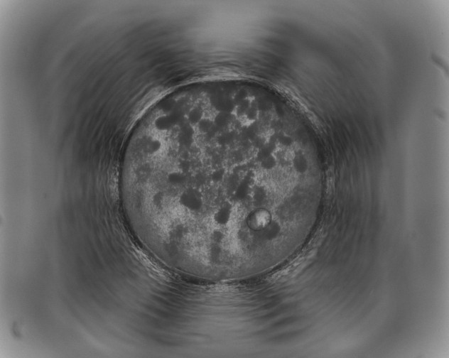 X0000097991409200804141130