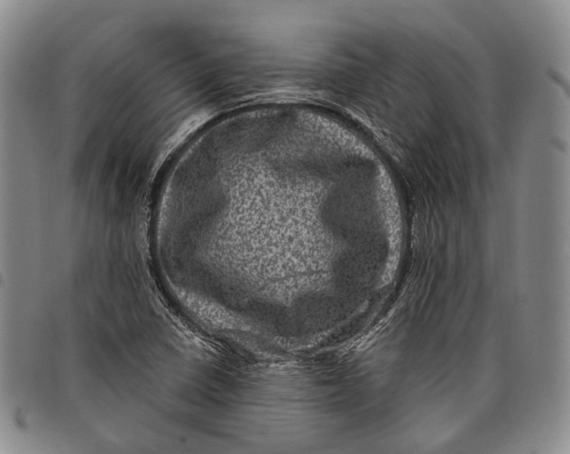 X0000097991410200804141130