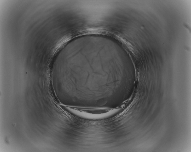 X0000097991411200804141130