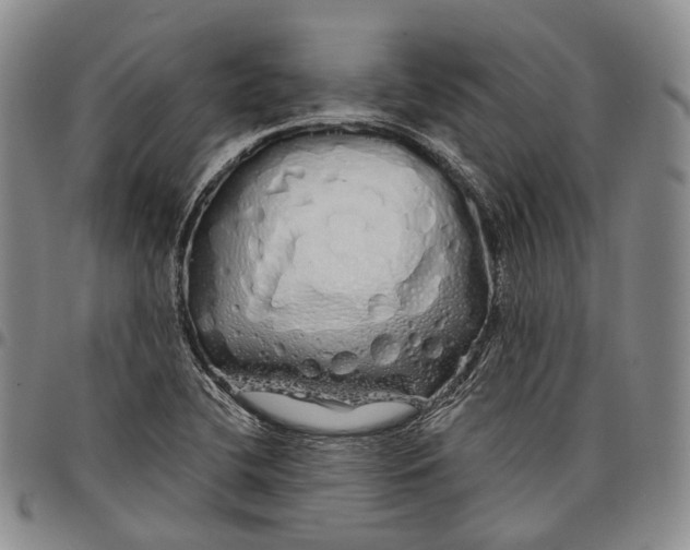 X0000097991412200804141130