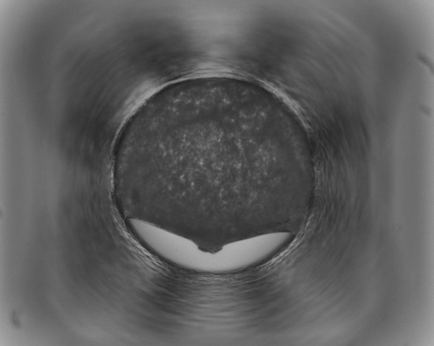 X0000097991415200804141130