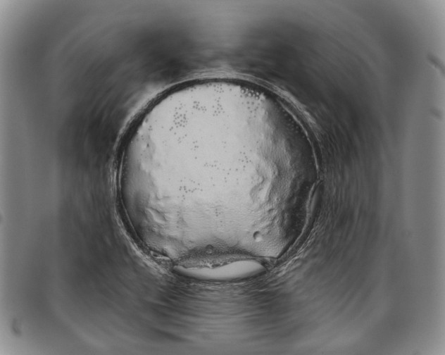 X0000097991416200804141130
