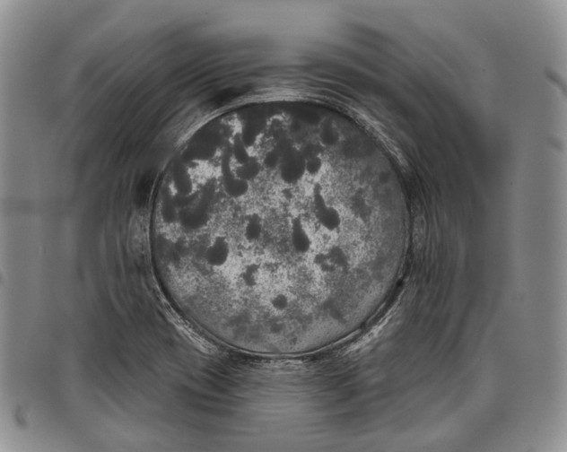 X0000097991417200804141130
