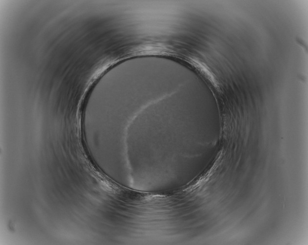 X0000097991419200804141130