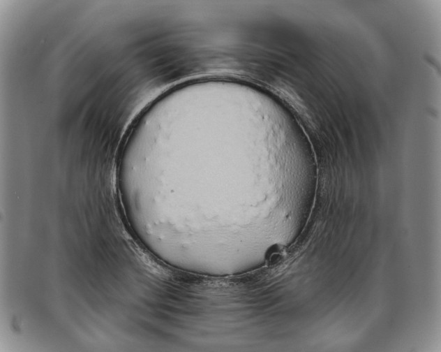 X0000097991420200804141131