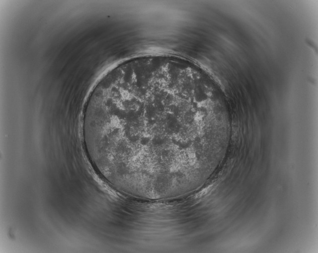 X0000097991421200804141131