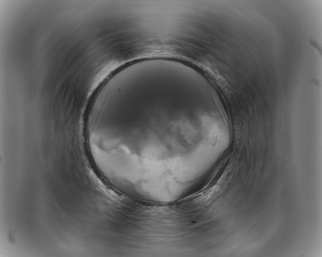X0000097991422200804141131