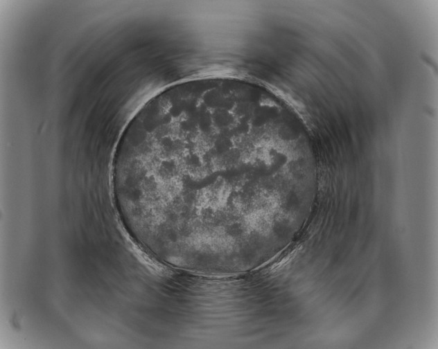 X0000097991423200804141131