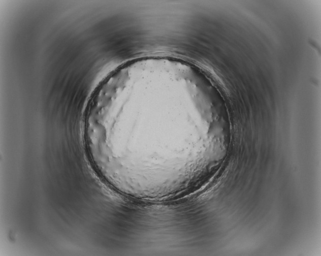 X0000097991424200804141131