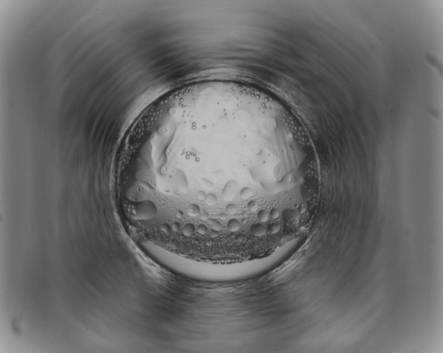 X0000097991426200804141131