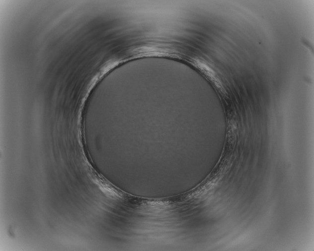 X0000097991427200804141131